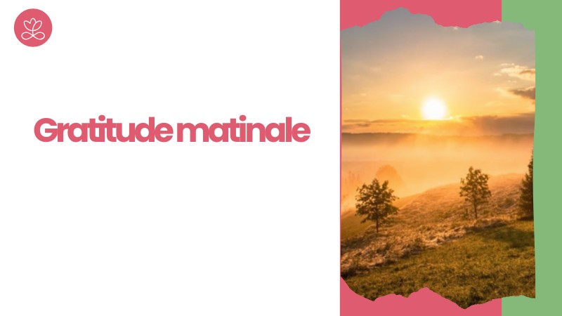 Jour 13. Gratitude matinale avec Christine Lepoitevin (7 min)